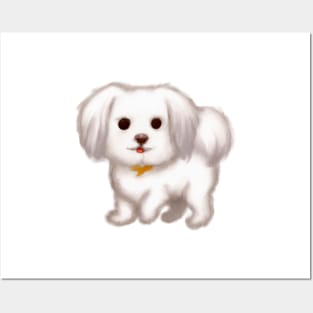 Cute Maltese Dog Drawing Posters and Art